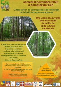 visite découverte de l'arboretum de la Sivrite et de la futaie cathédrale